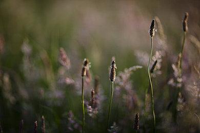 《光环：无限》不再有新赛季 未来只有较小内容更新